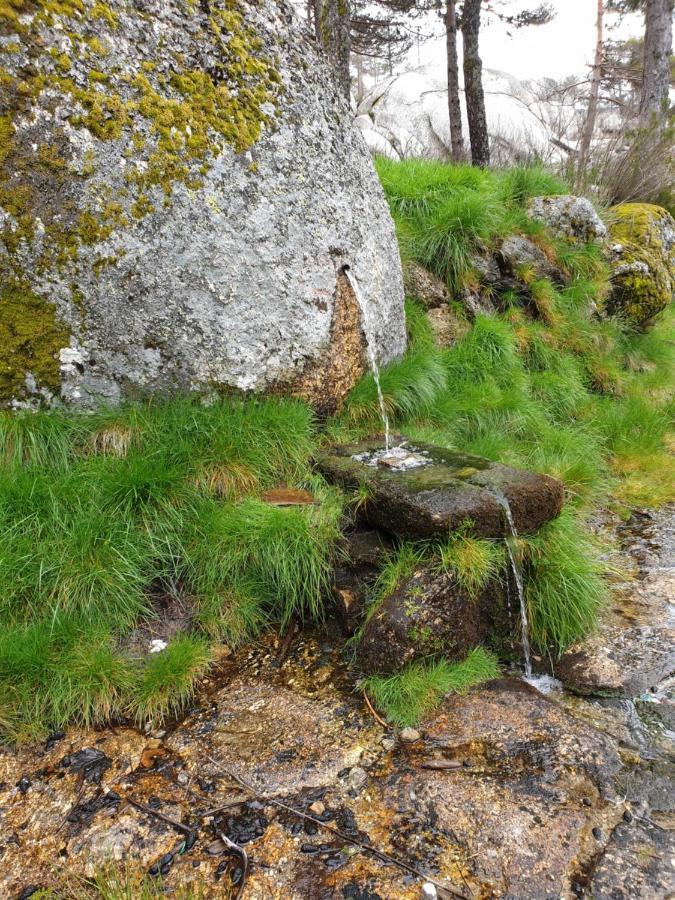 Casa Dos Cisnes - Serra Da Estrela - Sao Paio - Gouveia - Portugal المظهر الخارجي الصورة